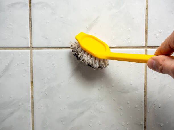Best Attic Mold Removal  in Tulia, TX
