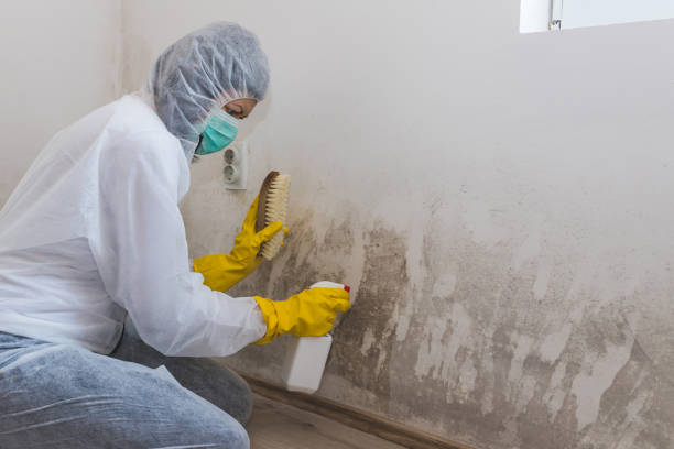 Water Damage Restoration in Tulia, TX
