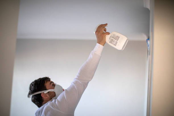 Best Fast Mold Removal  in Tulia, TX