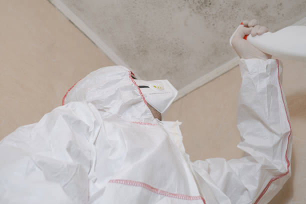 Best Mold Remediation  in Tulia, TX