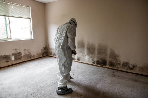 Best Crawl Space Mold Removal  in Tulia, TX